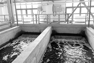 再生水 解鎖城市“第二水源”的關鍵路徑——污水處理及其再生利用調研報告